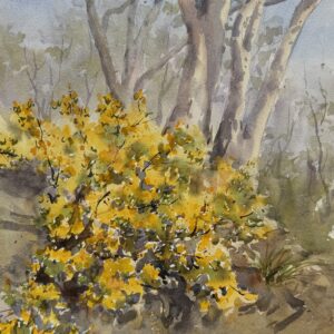 Sydney harbour - Spring at Balls Head