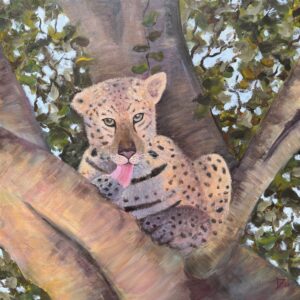 wild brazil jaguar magic