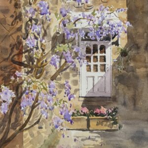 house with wisteria in north sydney